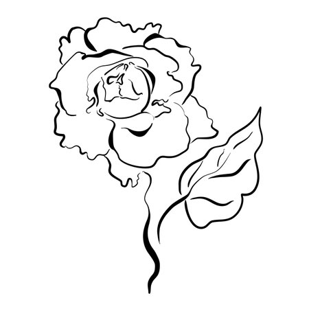 Rose flower in doodle style vector illustrationのイラスト素材