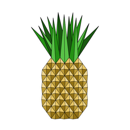 Pineapple in geometric style vector illustrationのイラスト素材