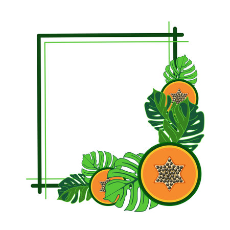 Decorative frame with papaya slices and monstera leaves vector illustrationのイラスト素材