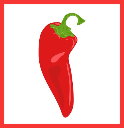 Red hot chili pepper, vector illustration