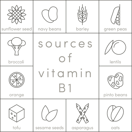 Sources of vitamin B1, vector elements of food for infographicのイラスト素材