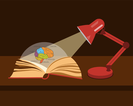 Vector anatomy textbook. Human brain structure. Open book in the light of a desk lampのイラスト素材