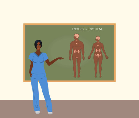 Female black doctor teaching about endocrine system, vectorのイラスト素材