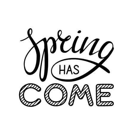 Spring has come lettering phrase. Vector simple design for t-shirts, cards or any advertisingのイラスト素材