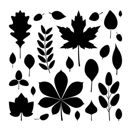 Set of black leaf silhouettes on white background. Vector illustration in flat style.のイラスト素材