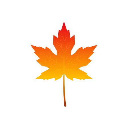 Colorful icon of autumn maple leaf. Vector illustration isolated on white background.のイラスト素材