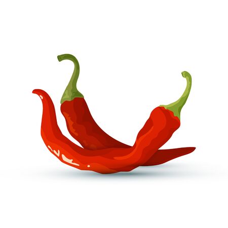 Chili peppers icon. Fresh red cayenne. Vector illustration isolated on white background in flat or cartoon style.のイラスト素材
