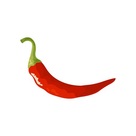 Chili pepper icon. Fresh red cayenne. Vector illustration isolated on white background in flat or cartoon style.のイラスト素材