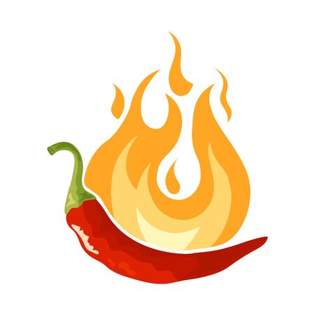 Pepper in flame icon. Fresh red chili condiment. Vector illustration isolated on white background in flat or cartoon style.のイラスト素材
