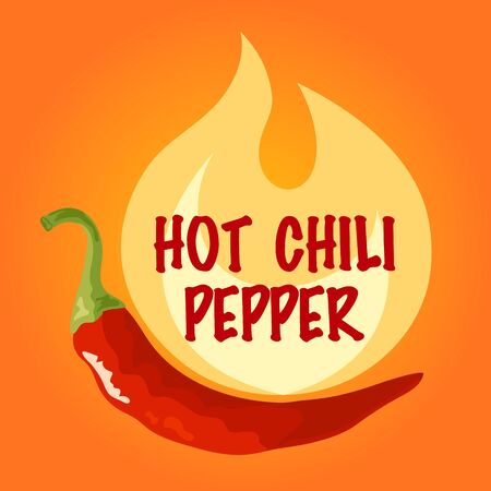 Chili pepper in flame concept. Fresh red cayenne. Vector design on orange background in flat or cartoon style.のイラスト素材