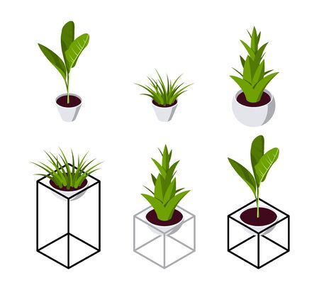Isometric plant in scandinavian interior. Set of potted flowers icons in flat style for hygge designs. Vector illustration isolated on a white background.のイラスト素材