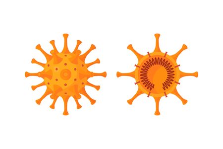 Corona virus cross section diagram. Vector illustration isolated on a white background in cartoon style. Design for medical infographics, posters, posts etc.のイラスト素材