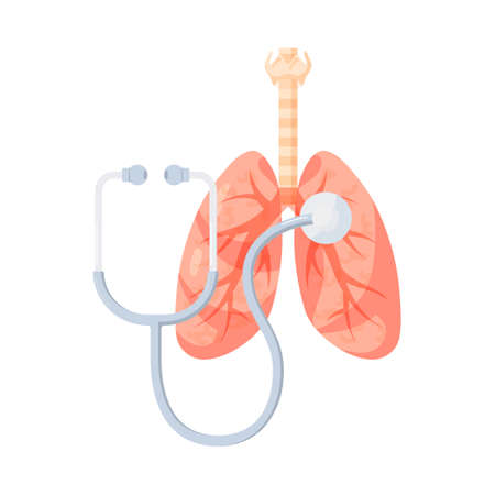 Lung diagnostic test. Respiratory system clip art for medical designs. Vector illustration isolated on a white background in cartoon style.のイラスト素材