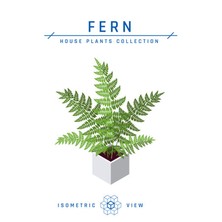 Fern in pot isometric icon. House plant in flat style for interior designs. Vector illustration isolated on a white background.のイラスト素材