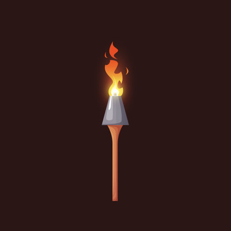 Torch flame icon set, cartoon vectorのイラスト素材
