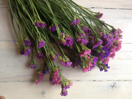 Lilac flowers on the white wood floor
