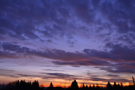 sunset sky cloud color tree nature silhouetteの写真素材