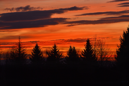 sunset sky cloud color tree nature silhouetteの写真素材