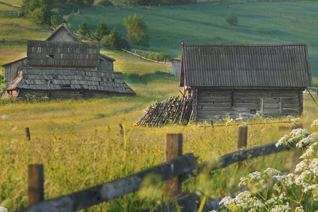 two old abandoned wooden houses among the green grass in the Carpathian Mountainsの写真素材