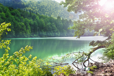 beautiful lake shore sunshine through the branches of treesの写真素材
