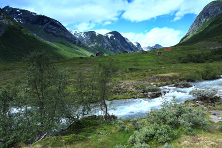 Norwegian island Runde. Beautiful wild nature. Wildlife in Norway.の写真素材