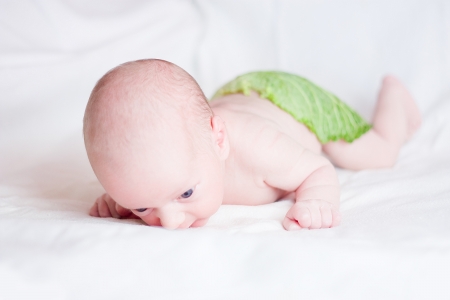 Cute Newborn Baby Lies on stomach with cabbage's leaf on his backの写真素材