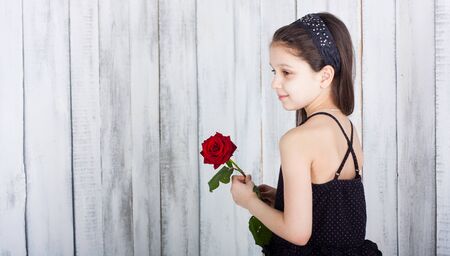 Little girl in black dress stays back and hold a red rose. Indoor photo shot. Empty space for your textの写真素材