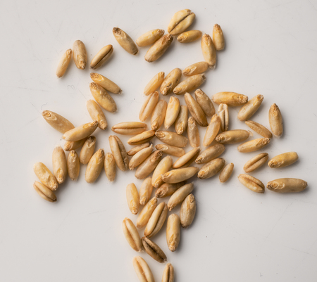 oatの写真素材
