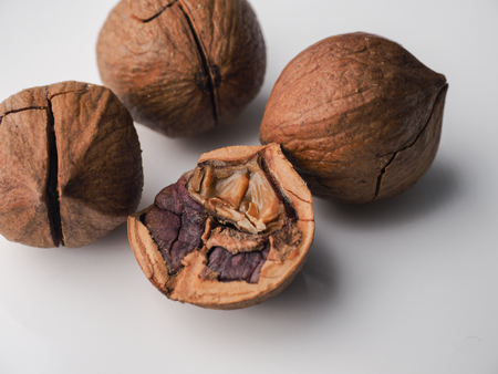 Walnuts on white backgroundの写真素材