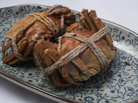 Hairy crabsの写真素材