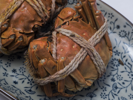 Hairy crabsの写真素材