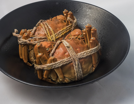 Hairy crabsの写真素材