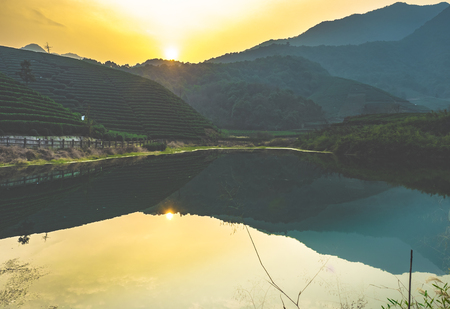 Longwu Tea Gardenの写真素材