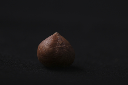 Hazelnut isolated on black backgroundの写真素材