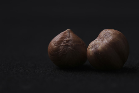 Hazelnut isolated on dark backgroundの写真素材