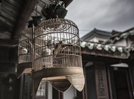 Empty bird cages hanging from a chinese buildingの写真素材