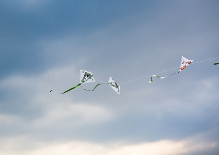 kiteのeditorial素材