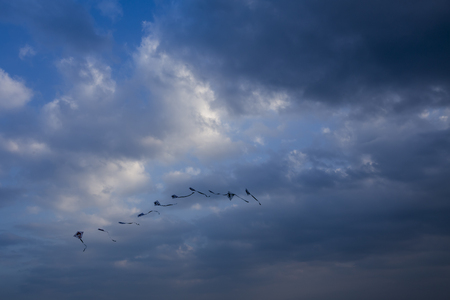 Kite in the skyのeditorial素材