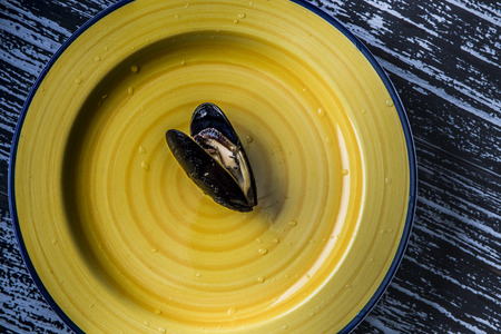 musselの写真素材