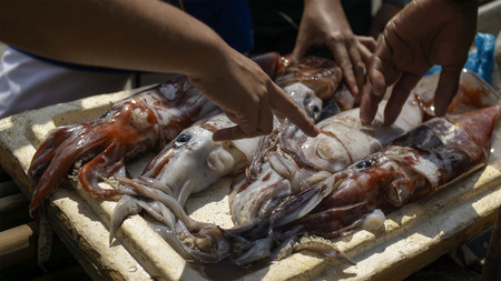 buyers choosing fresh catch squid being sold by fishermen in the fishing boat on the shore.の写真素材