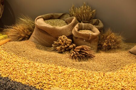 Assortment of grains and cereals in canvas bags with decorative seedsの写真素材
