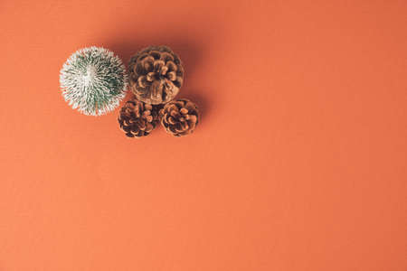 Coniferous tree with fir cones around it on a pastel orange background. Minimal winter decoration conceptの写真素材