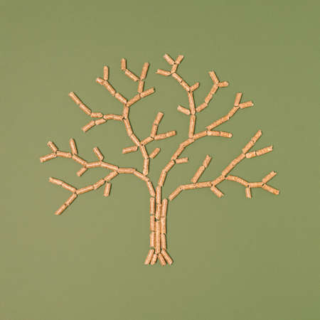 Wooden pellet tree shaped layout on a natural green background. Ecology, renewable energy minimal concept.の写真素材