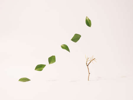 Group of green leaves gradually rising in the air above the small tree on a beige background....