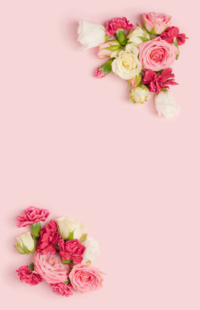 Dianthus and roses arranged in the corners of a pastel pink background. Romantic, feminine template.の写真素材