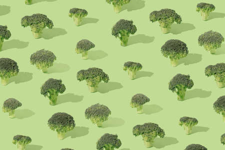Pattern made of various broccoli flowers on a pastel green background. Green environment minimal concept.の写真素材