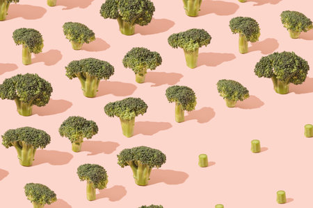 Broccoli flowers arranged on a pastel pink background with stomps. Planet Earth destruction minimal pattern.の写真素材
