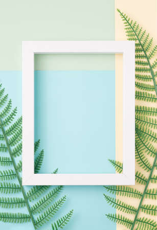 Rectangle frame with fern leaves on a pastel background. Nature, artistic minimal copy space.の写真素材