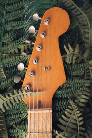 Jungle plants surrounding electric guitar headstock. Nature and technology concept.の写真素材