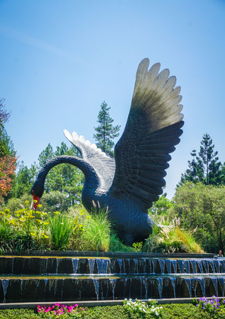 big black swan statue on green forest and grass with blue sky - photoの写真素材